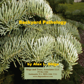 Backyard Pathology, Alex Shigo